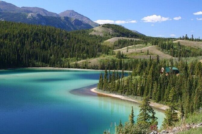 Wild Adventure Yukon Tour into Canada including City and Summit - Setting the Stage: What to Expect