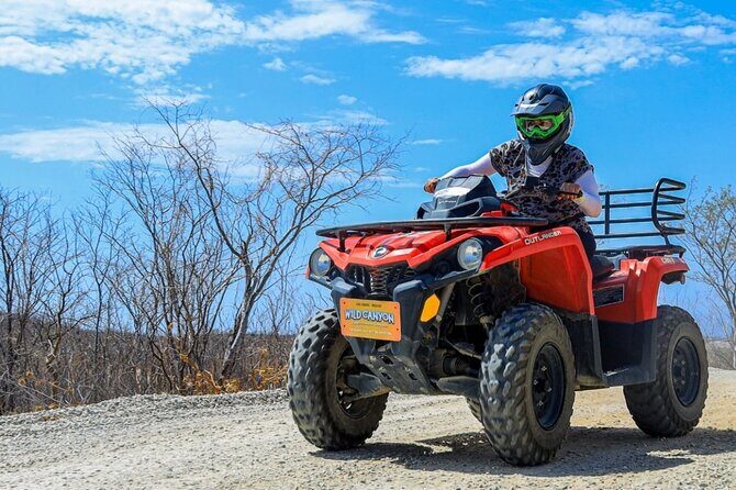 Wild ATV Desert Adventure in Cabo - What Is the Wild ATV Desert Adventure?