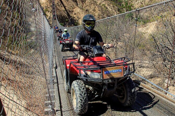 Wild ATV Desert Adventure in Cabo - Pricing and Value