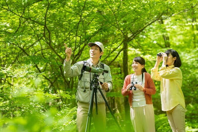Wild Bird Sanctuary Forest Guided Tour in Nagano - Exploring the Wild Bird Sanctuary Forest Guided Tour in Nagano