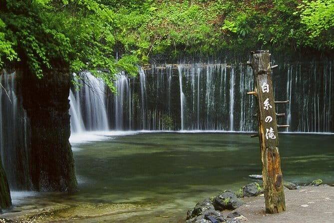 Wild Bird Sanctuary Forest Guided Tour in Nagano - The Practicalities