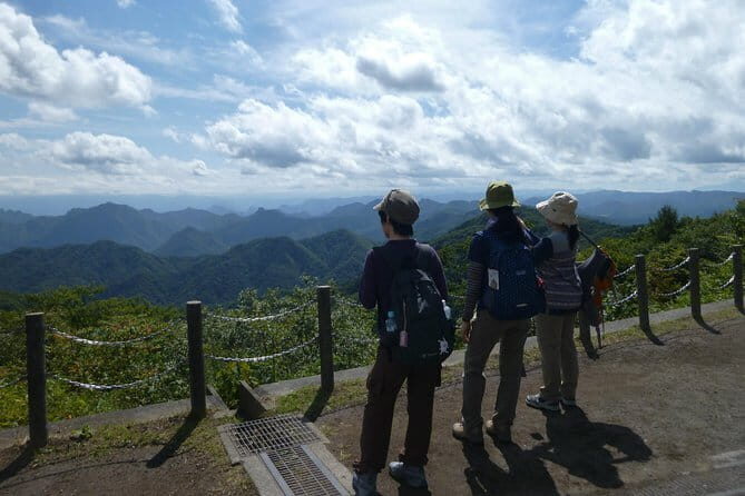 Wild Bird Sanctuary Forest Guided Tour in Nagano - Authentic, Engaging, and Educational