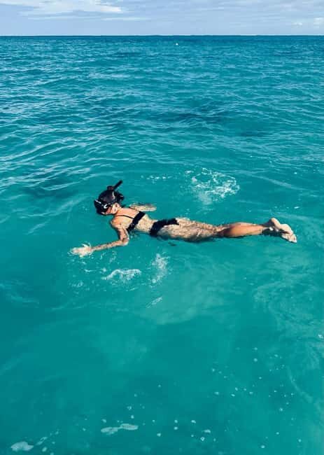Wild Dolphin Encounter & Snorkeling Adventure Mauritius. - An Overview of the Experience