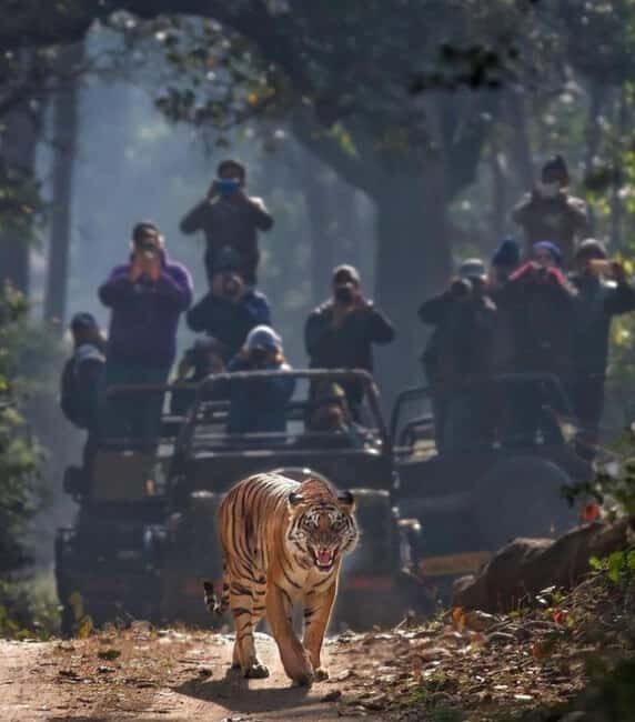 Wild Escape: 3 Days Ranthambore Safari Adventure from Delhi - The Itinerary in Detail: What You Can Expect
