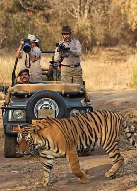 Wild Escape: 3 Days Ranthambore Safari Adventure from Delhi - FAQ
