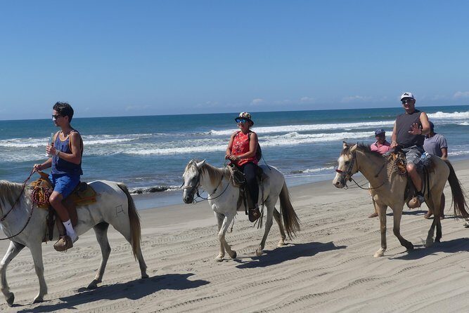 Wild & Free: Lagoon Boat, Beach Horseback, Crocs & Turtle Release - Lunch and Refreshments