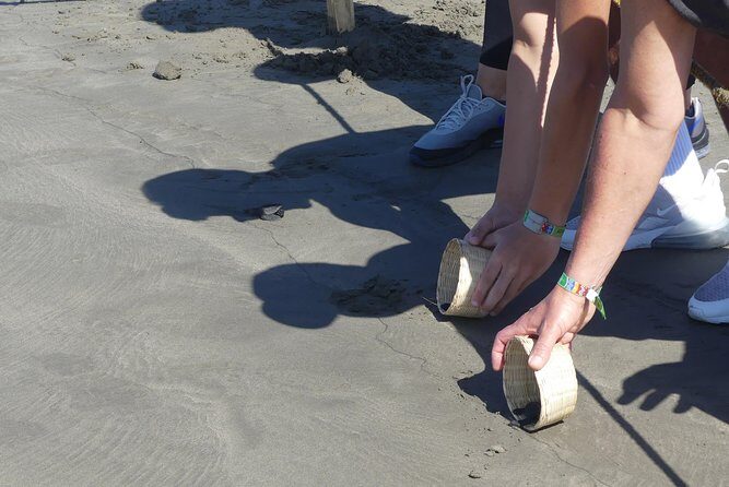 Wild & Free: Lagoon Boat, Beach Horseback, Crocs & Turtle Release - Authenticity, Guides, and Overall Experience