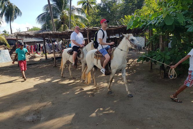Wild & Free: Lagoon Boat, Beach Horseback, Crocs & Turtle Release - Who This Tour Is Best For