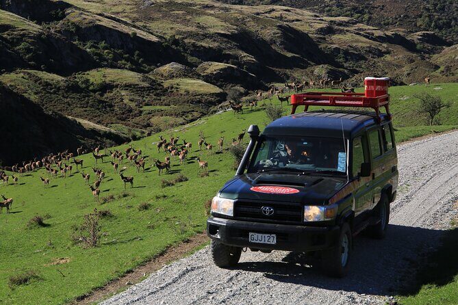 Wild Hills Off Road Safari - FAQ