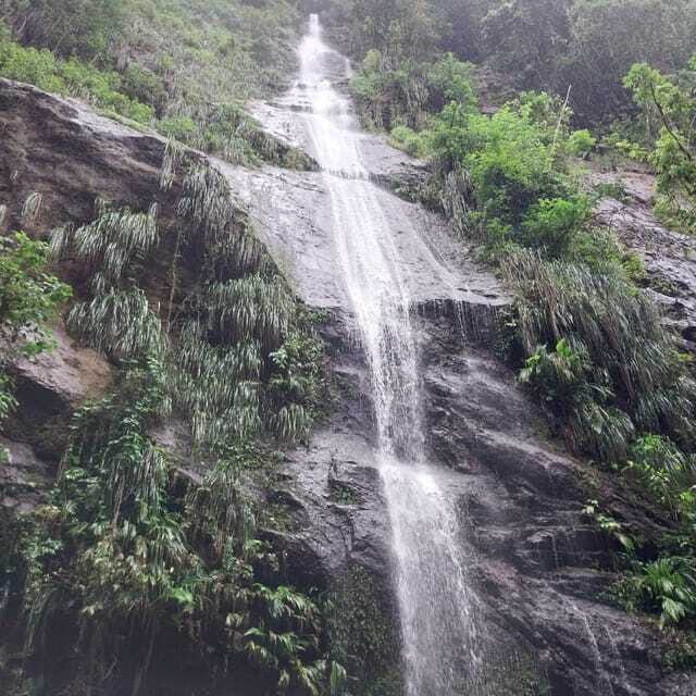 Wild Immersion : Hiking in the Heart of the Tropical Forest - Final Thoughts