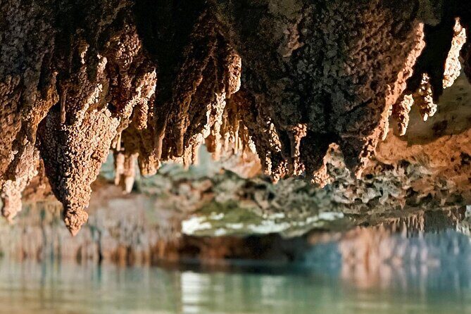 Wild Jungle ATV Adventure with Cenote and Monkey Sanctuary - Final Thoughts: Who Should Consider This Tour?