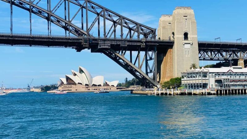 Wild Kangaroos & Blue Mountains private tour - Is This Tour Worth It?