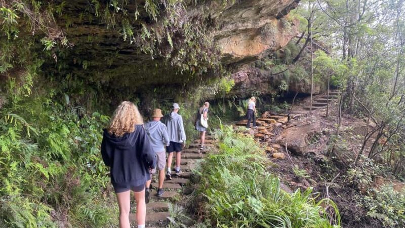 Wild Kangaroos & Blue Mountains private tour - Who Should Consider This Tour?