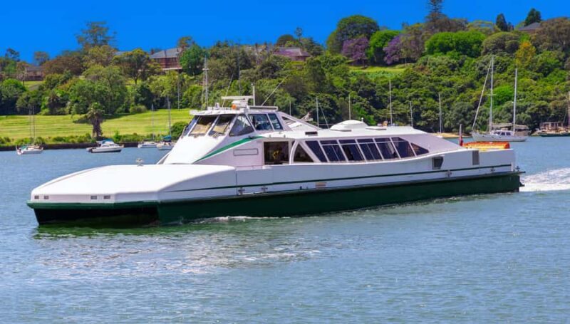 Wild Kangaroos & Blue Mountains private tour - FAQ