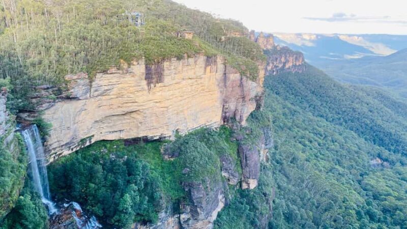Wild Kangaroos & Blue Mountains private tour - Final Thoughts
