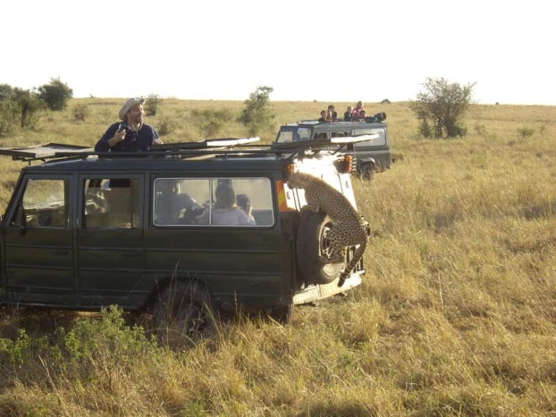Wild Kenya Safari Explore Amboseli, Tsavo West & East 4 Days - Key Points