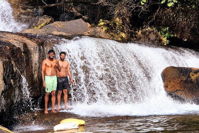 Wild Life Anakulam Jeep Safari - Who Should Book?
