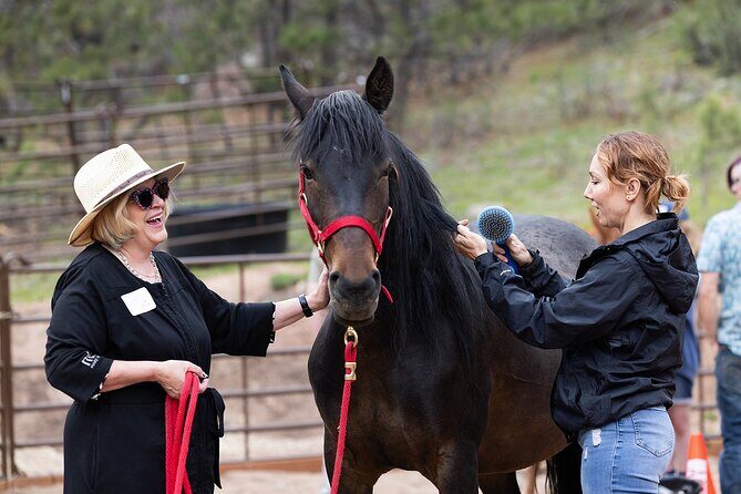 Wild Mustang Experience Near Colorado Springs - Key Points