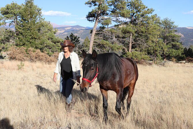 Wild Mustang Experience Near Colorado Springs - Who Will Love This Tour?