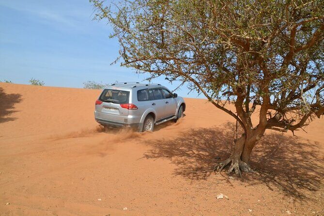 Wild National Park & Sahara Desert including Couscous & Tajine - A Practical Guide to the Tour Experience