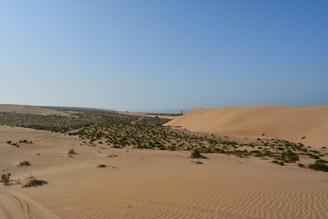 Wild National Park & Sahara Desert including Couscous & Tajine - Why Travelers Love This Tour