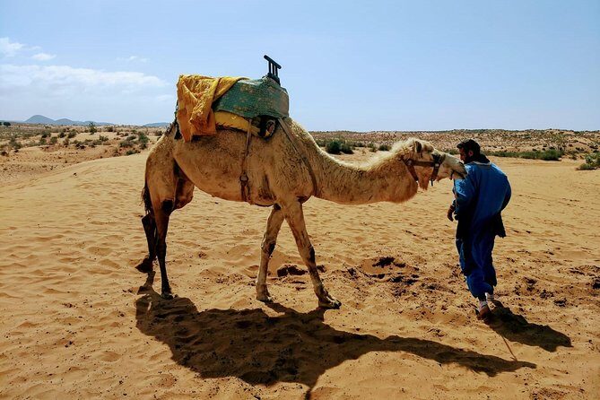 Wild National Park & Sahara Desert including Couscous & Tajine - Final Thoughts: Who Is This Tour For?