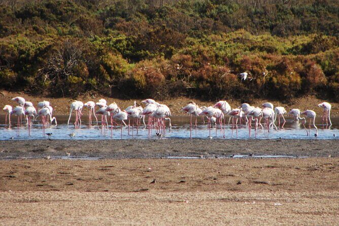 Wild National Park & Sahara Desert including Couscous & Tajine - FAQs