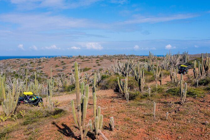 Wild Side UTV Tour: Explore the Northern treasure - Who Should Consider This Tour?