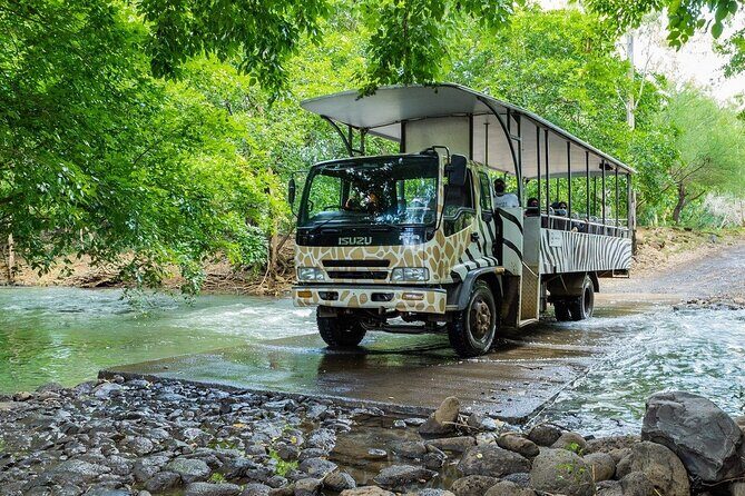 Wild South West Tour : SAFARI & TULAWAKA CASELA PARK & LE MORNE - Who Is This Tour Best For?