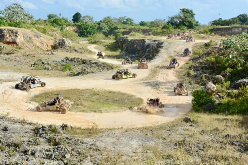 Wild Tiger Buggy: The Best Buggy Excursions in Punta Cana - A Closer Look at the Wild Tiger Buggy Experience
