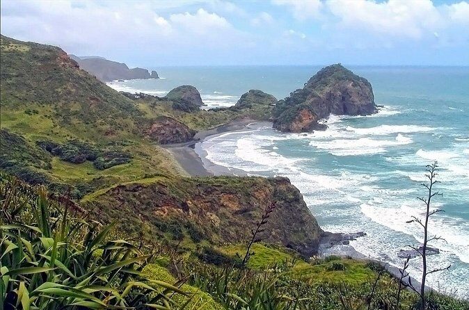 Wild West Coast & Rainforest Escape - Private Experience - Who Will Love This Tour?