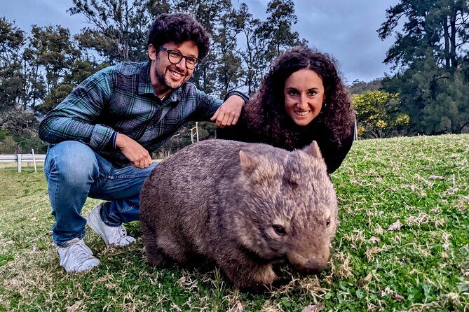 WILD Wombat and Kangaroo Day Tour, All Inclusive - Who Is This Tour Best For?