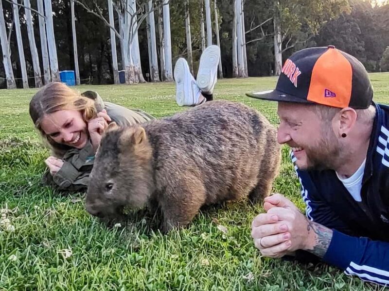 WILD Wombats and Kangaroo Experience, All Inclusive, Sydney - A Closer Look at the Itinerary