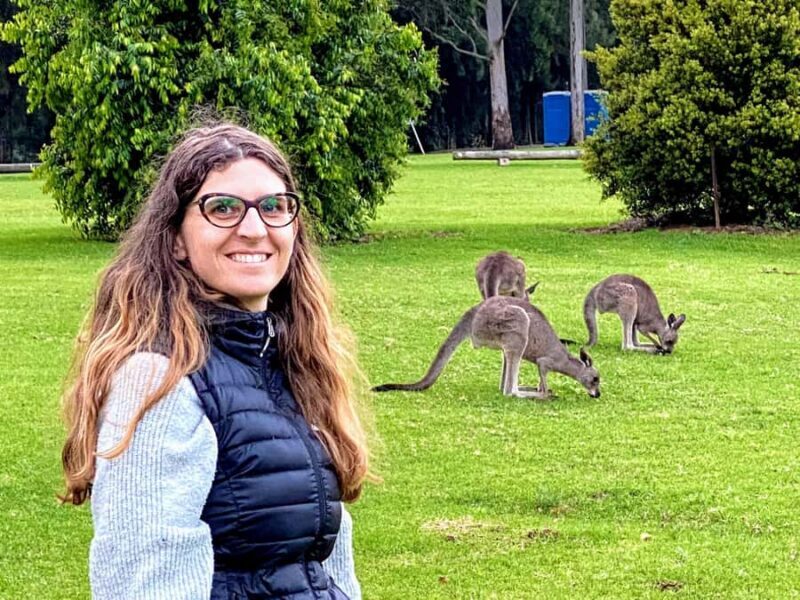 WILD Wombats and Kangaroo Experience, All Inclusive, Sydney - The Guide and the Group Experience