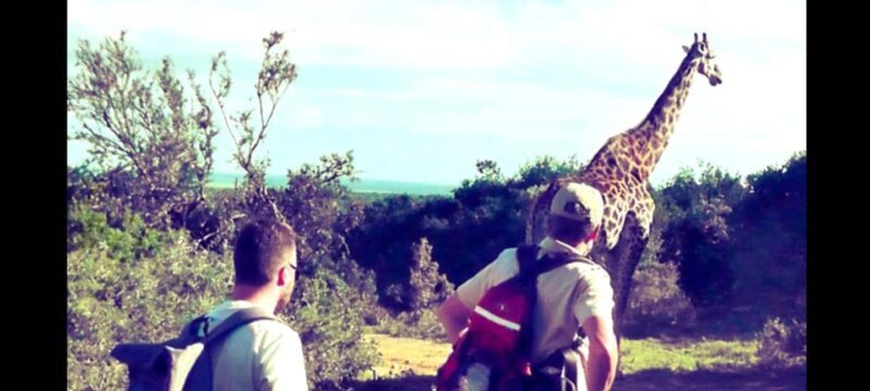 Wild Wonders: Giraffe Encounter & Schotia Safaris Tour - Who Should Consider This Tour?