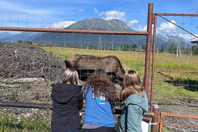 Wilderness and Wine Tasting out of Anchorage - FAQ