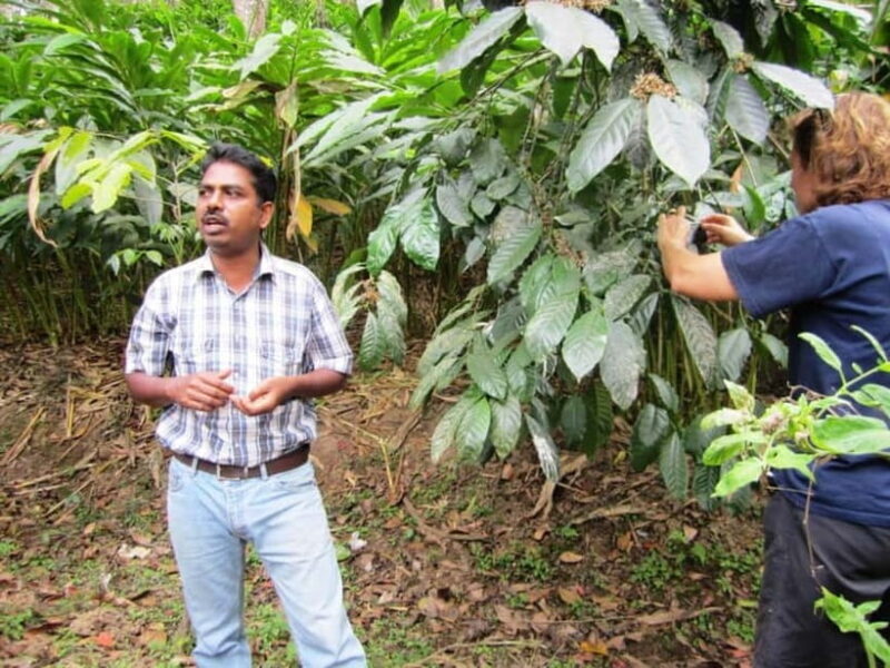 Wilderness & Culture: One Day Tour of Thekkady with Jeep !! - Key Points