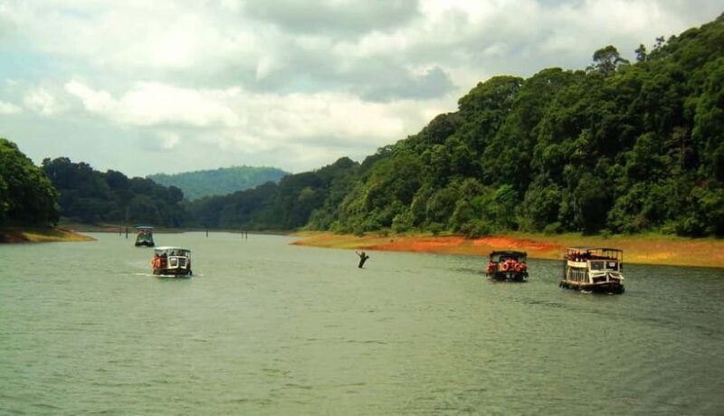 Wilderness & Culture: One Day Tour of Thekkady with Jeep !! - Practical Tips for Travelers