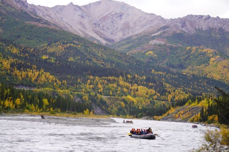 Wilderness: Denali National Park Class I-III Rafting Tour - An Overview of the Rafting Experience