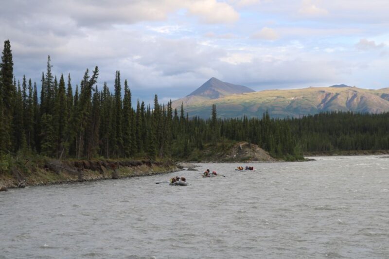 Wilderness: Denali National Park Class I-III Rafting Tour - Final Thoughts