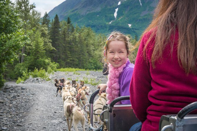 Wilderness Dog Sled Ride and Tour in Seward - Authentic Experiences and Real Feedback