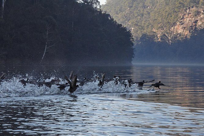 Wilderness kayak adventure with gourmet food - A Deeper Look at the Experience