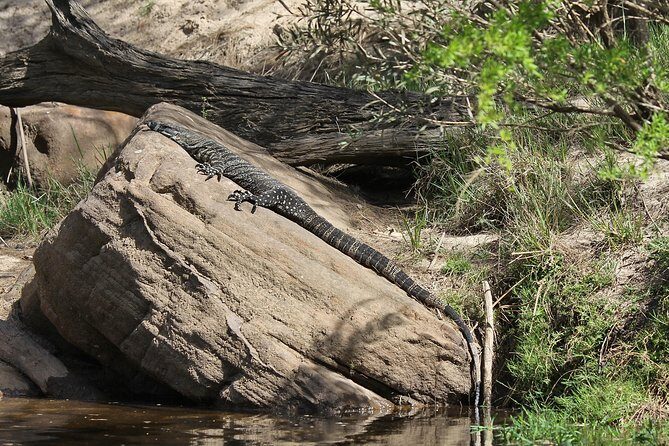 Wilderness kayak adventure with gourmet food - FAQ