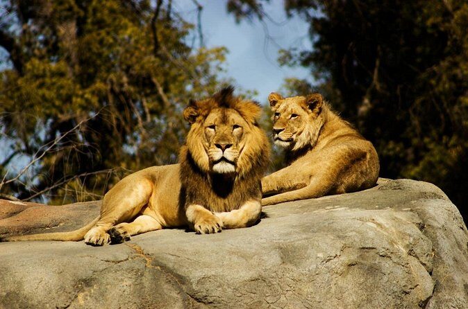 Wildlife and Ancient Expedition Tour in Teotihuacan Safari - The Practical Side: What’s Included and What’s Not