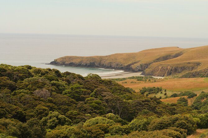 Wildlife and Penguin Tour - The Sum Up: How Does It Stack Up?
