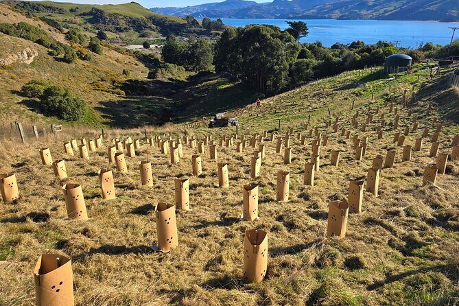 Wildlife and Penguin Tour - FAQ
