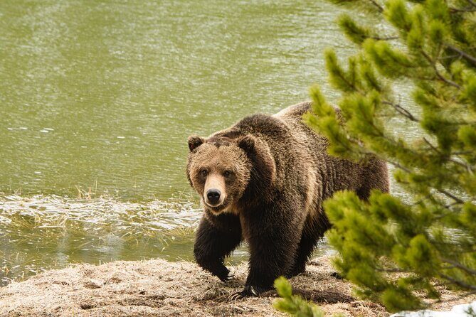 Wildlife and Waterfalls - What’s Included and What’s Not