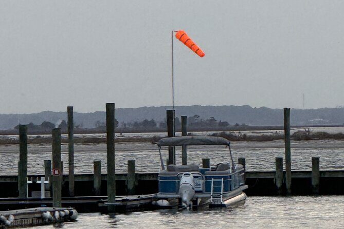 Wildlife Boat Tour with Wild Ponies and Dolphins in Chincoteague - Final Thoughts