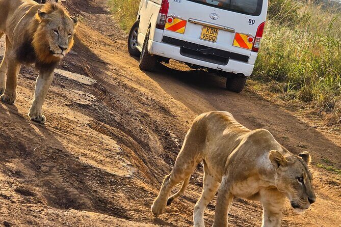 Wildlife Capital: Half-Day Safari at Nairobi National Park - Why We Recommend This Tour