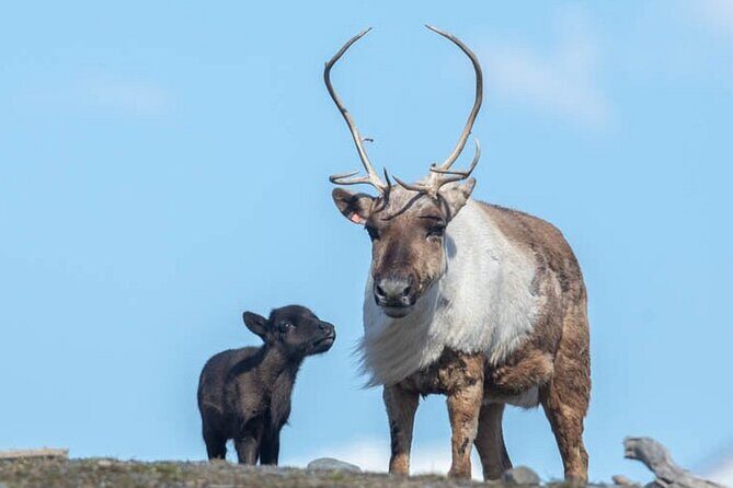 Wildlife Center with Lunch & Local Beer Sampling - Winter&Summer - Including Lunch and Total Value